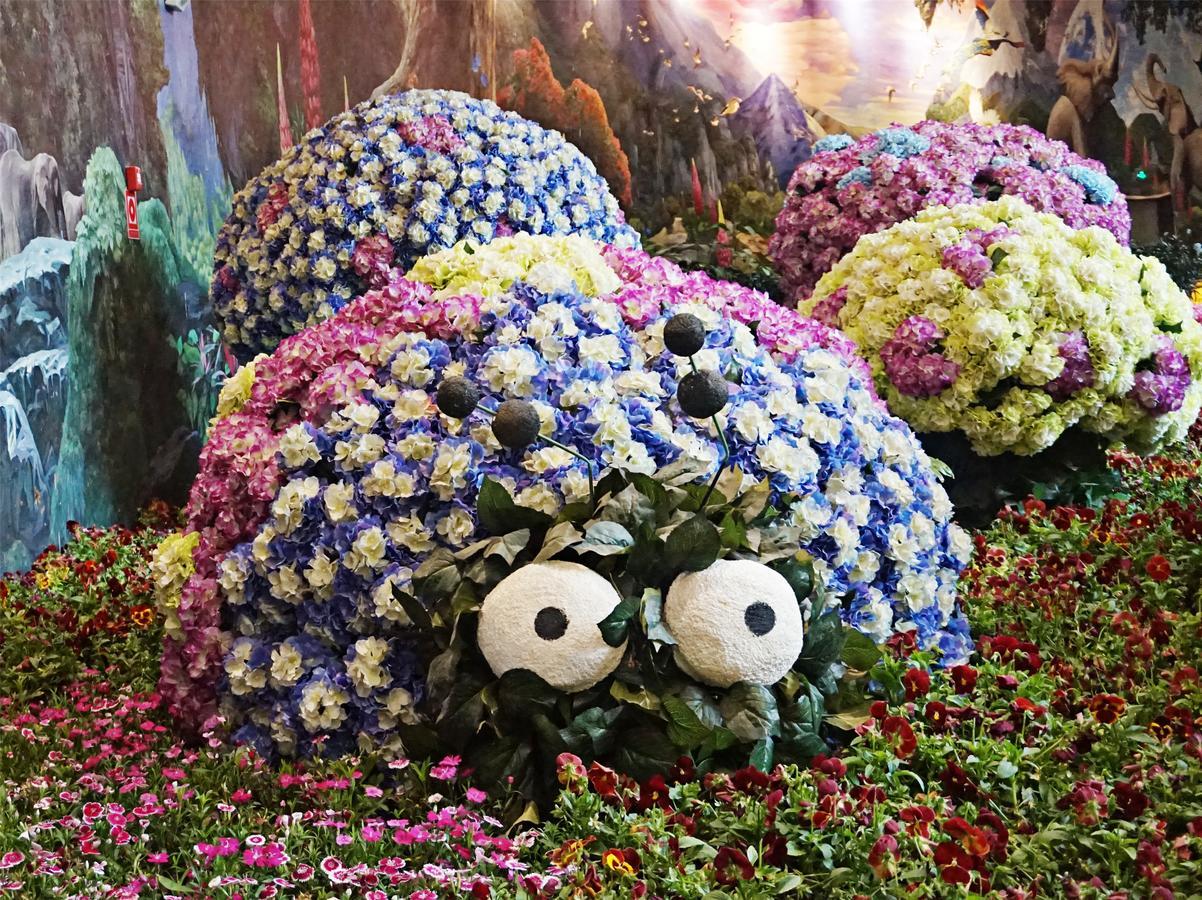 Howard Johnson Flower City Hotel Côn Minh Ngoại thất bức ảnh
